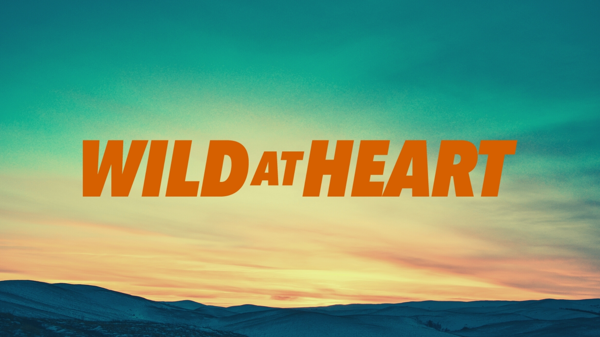 Wild At Heart (For Men)

7-Week Series 
Next session in the Fall
Meeting at Forge Christian High School
